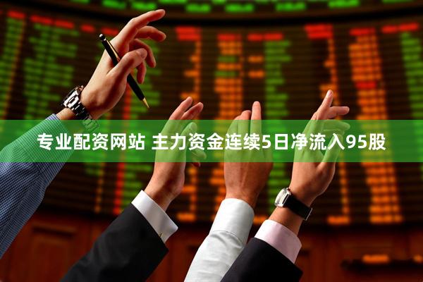 专业配资网站 主力资金连续5日净流入95股