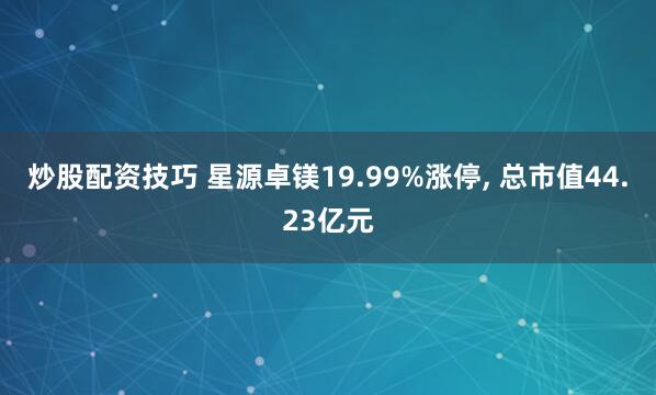 炒股配资技巧 星源卓镁19.99%涨停, 总市值44.23亿元