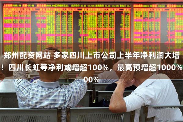 郑州配资网站 多家四川上市公司上半年净利润大增！四川长虹等净利或增超100%，最高预增超1000%