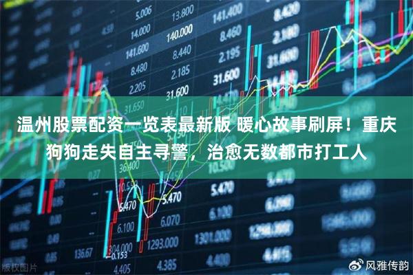 温州股票配资一览表最新版 暖心故事刷屏！重庆狗狗走失自主寻警，治愈无数都市打工人