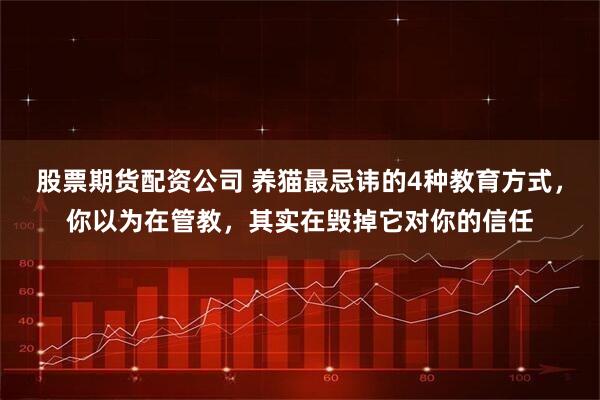 股票期货配资公司 养猫最忌讳的4种教育方式，你以为在管教，其实在毁掉它对你的信任